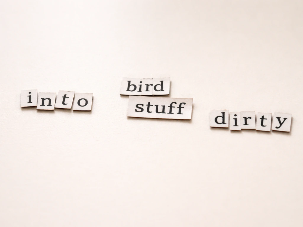 Close-up of separate paper letter tiles showing “into,” “bird stuff,” and “dirty” on a table.